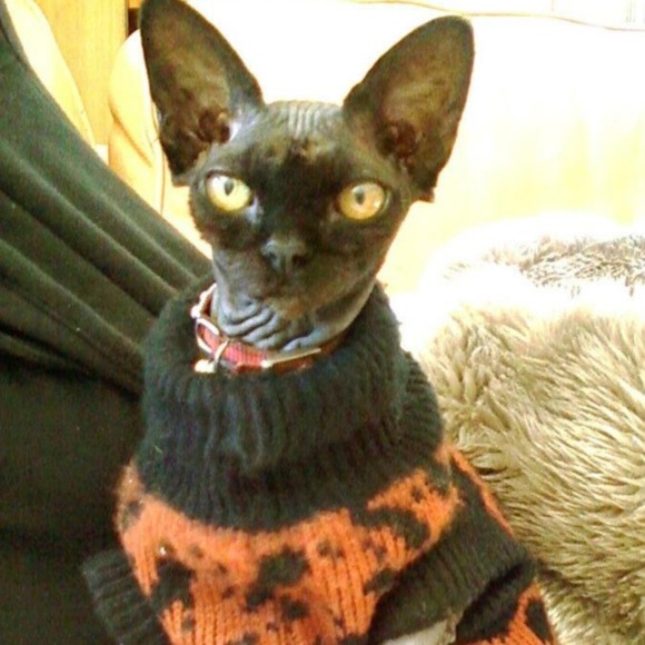 Meet your Posher, L - Picture 2 of 2